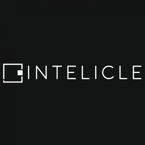 Intelicle Ltd