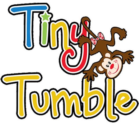 Tiny Tumble Party Hire