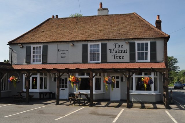 The Walnut Tree